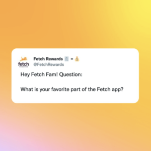 We Love Fetch, and So Do You 🥰